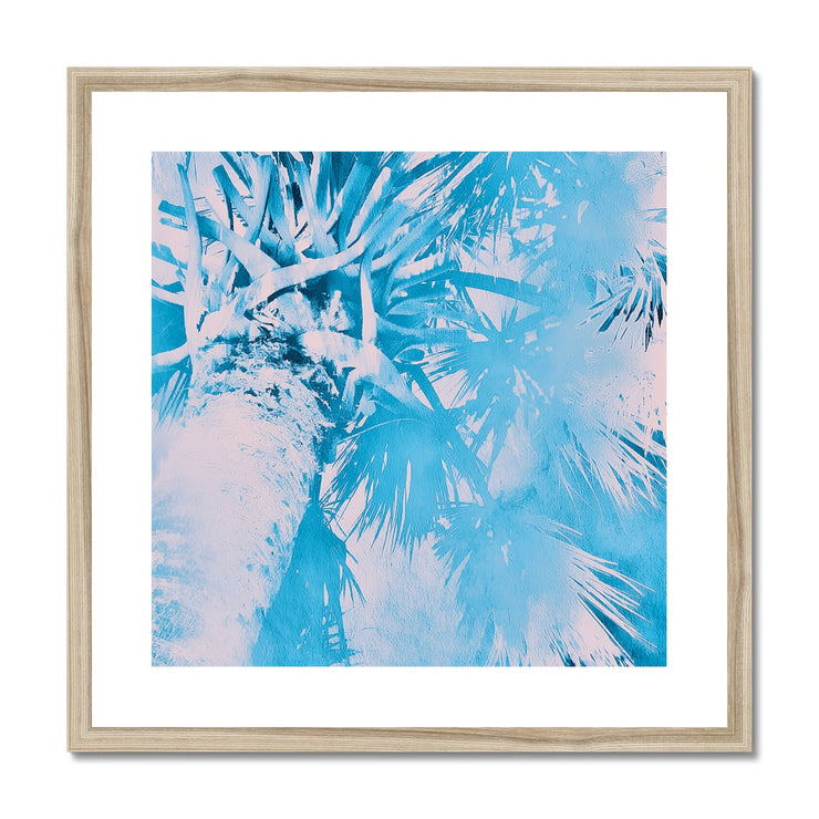 Palm Tree B7 Framed & Mounted Print