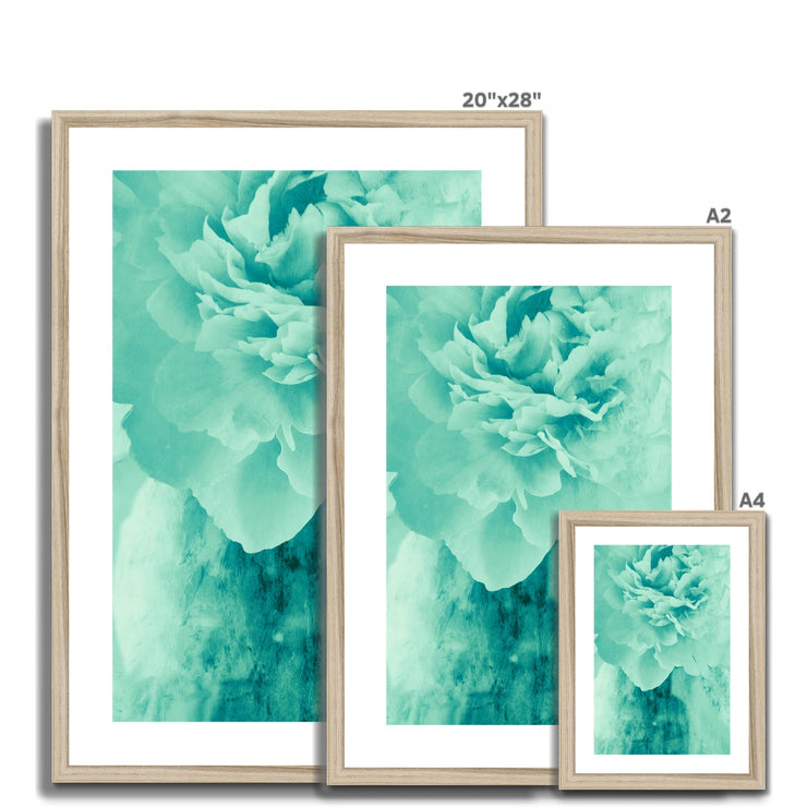 Peony G5 Framed & Mounted Print