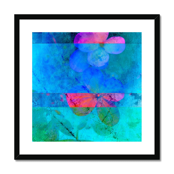 Hydrangea D5 Framed & Mounted Print