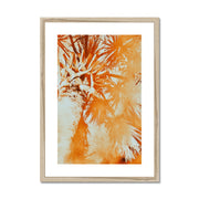 Palm Tree B1 Framed & Mounted Print