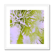 Palm Tree B2 Framed & Mounted Print