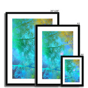 Albizia Tree A6 Framed & Mounted Print