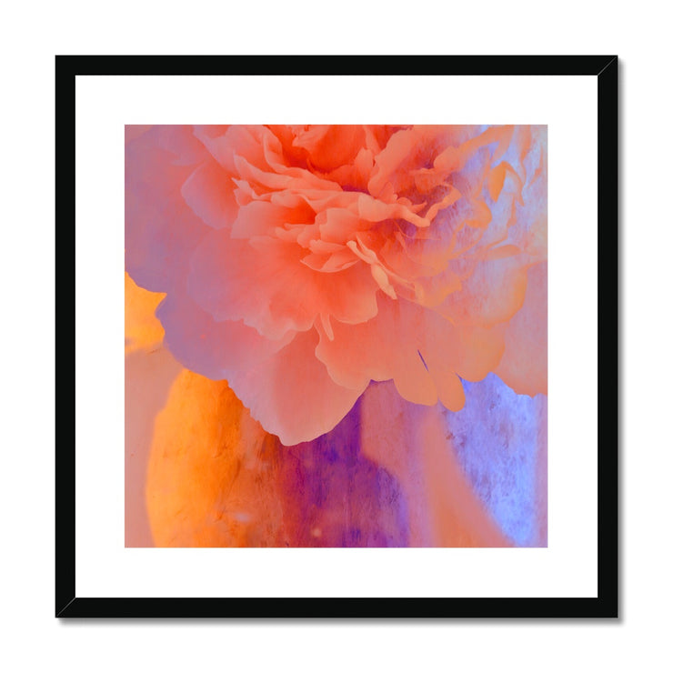 Peony G1 Framed & Mounted Print