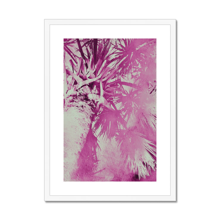 Palm Tree B5 Framed & Mounted Print