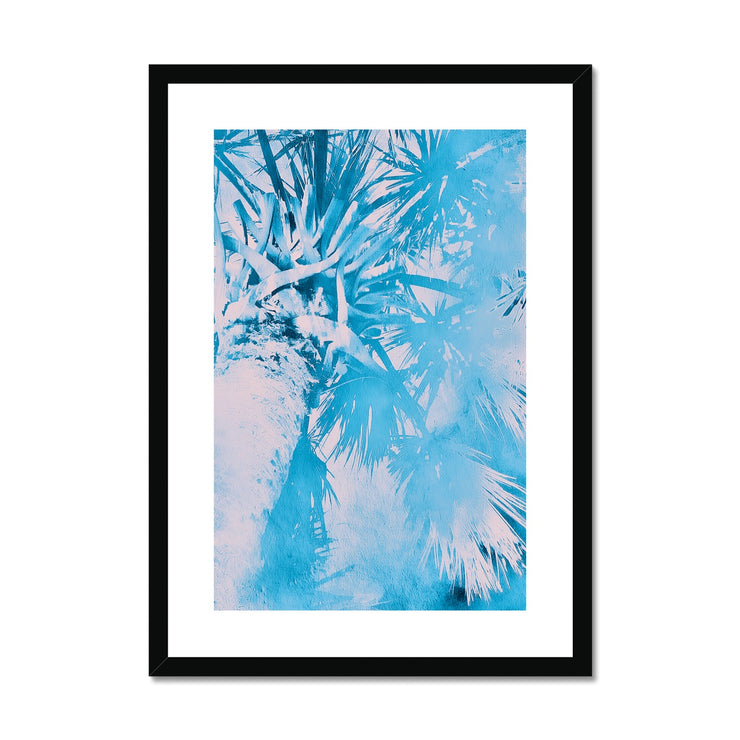 Palm Tree B7 Framed & Mounted Print