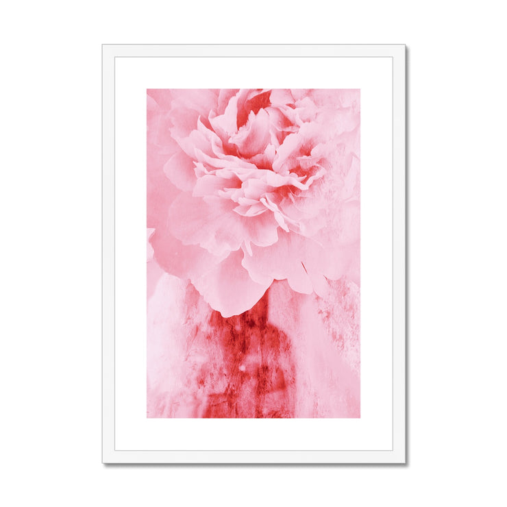 Peony G4 Framed & Mounted Print