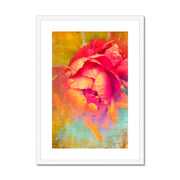 Peony E2 Framed & Mounted Print