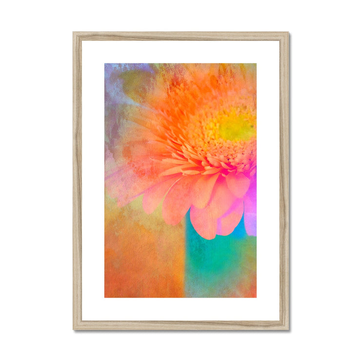 Gerbera B2 Framed & Mounted Print