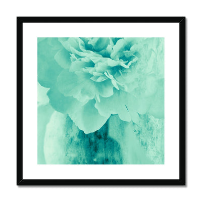 Peony G5 Framed & Mounted Print