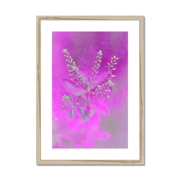 Lilac A2 Framed & Mounted Print