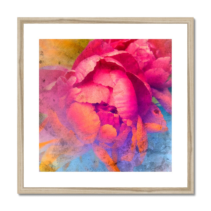 Peony E1 Framed & Mounted Print