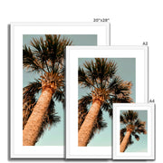 Palm Tree E1 Framed & Mounted Print