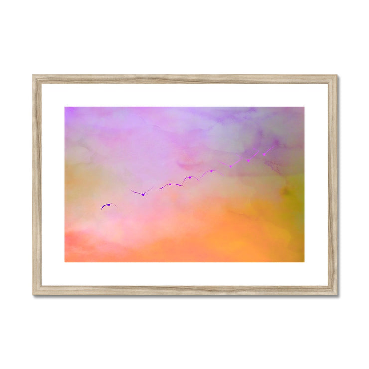 Pelicans in Flight A2 Framed & Mounted Print