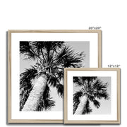 Palm Tree E2 Framed & Mounted Print