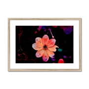 Garden Flower A1 Framed & Mounted Print