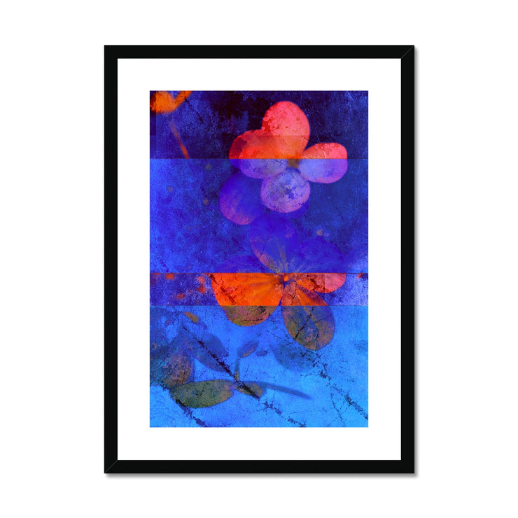 Hydrangea D4 Framed & Mounted Print