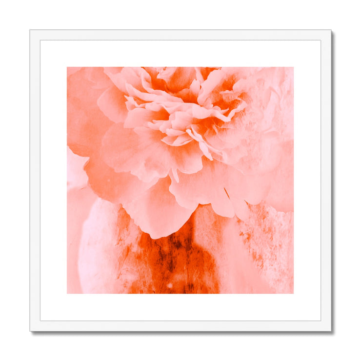 Peony G3 Framed & Mounted Print