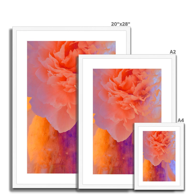 Peony G1 Framed & Mounted Print