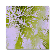 Palm Tree B2 Canvas