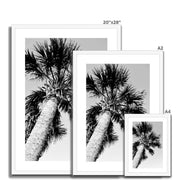 Palm Tree E2 Framed & Mounted Print