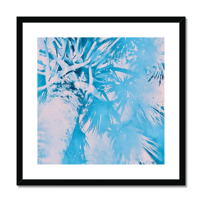 Palm Tree B7 Framed & Mounted Print