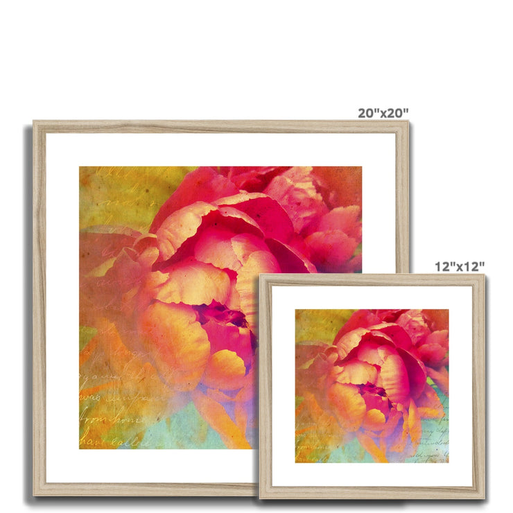 Peony E2 Framed & Mounted Print