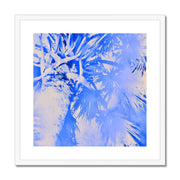 Palm Tree B4 Framed & Mounted Print