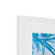 Palm Tree B7 Framed & Mounted Print