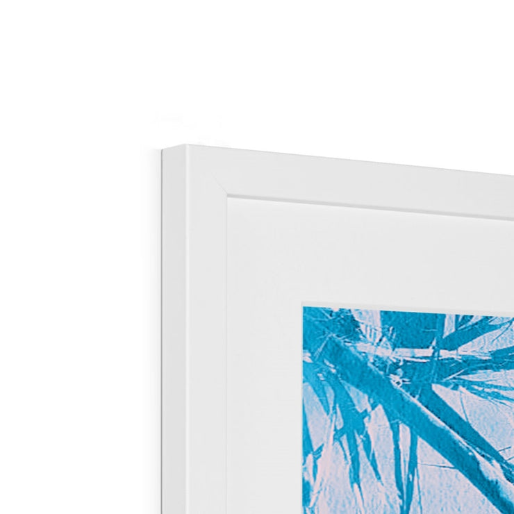 Palm Tree B7 Framed & Mounted Print