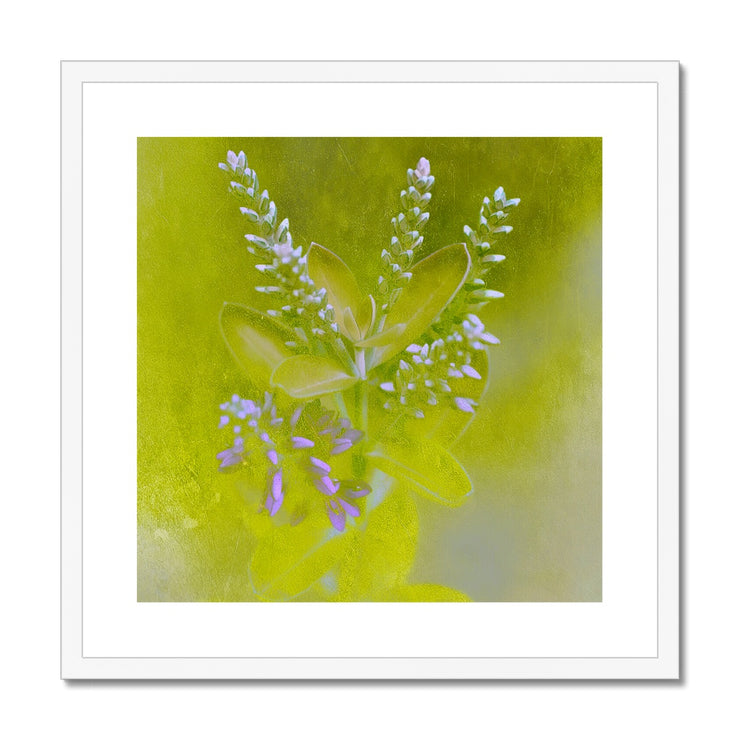 Lilac A5 Framed & Mounted Print