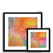 Gerbera B2 Framed & Mounted Print