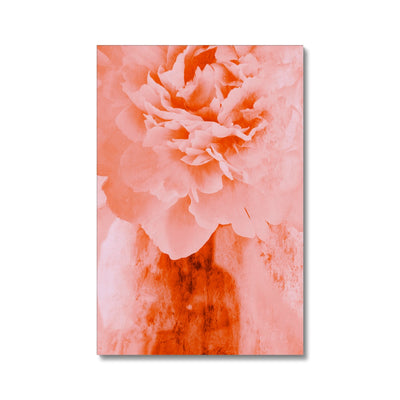 Peony G3 Canvas