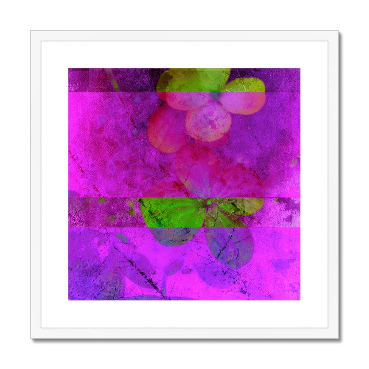 Hydrangea D1 Framed & Mounted Print