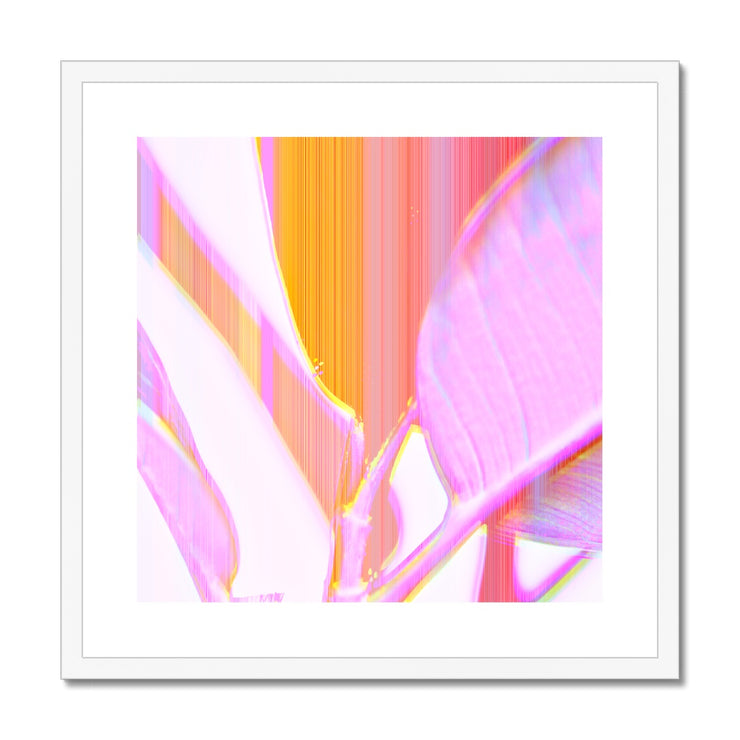 Rubber Tree A2 Framed & Mounted Print