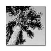 Palm Tree E2 Canvas