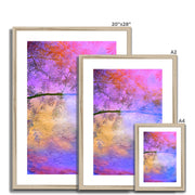 Albizia Tree B2 Framed & Mounted Print