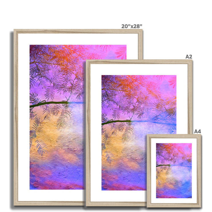 Albizia Tree B2 Framed & Mounted Print