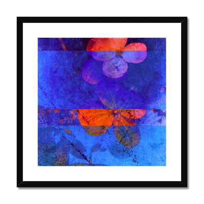 Hydrangea D4 Framed & Mounted Print