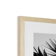 Palm Tree E2 Framed & Mounted Print