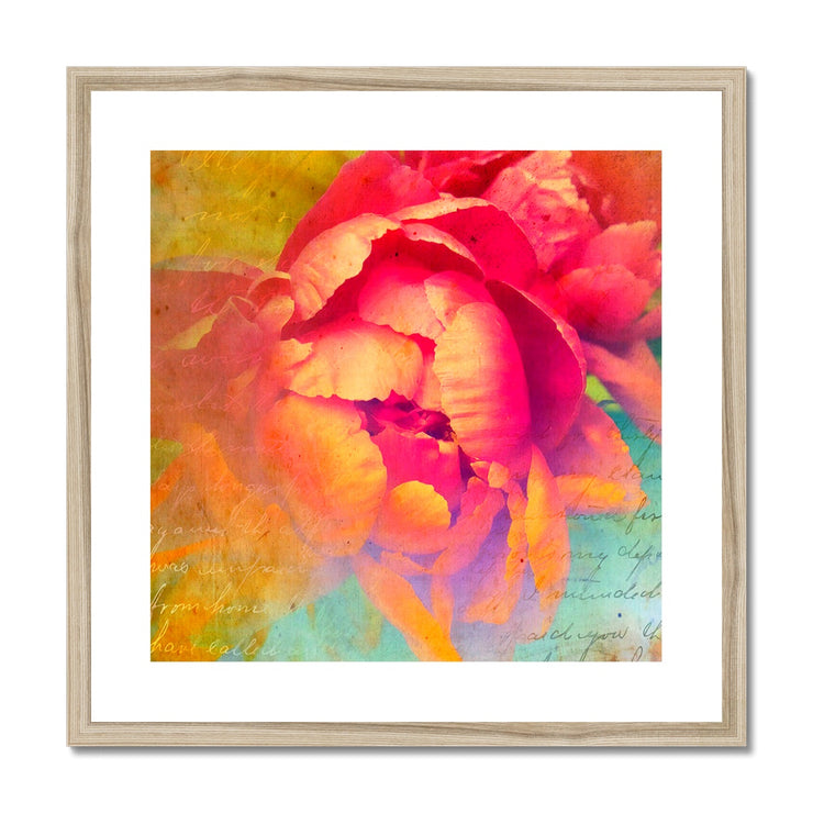 Peony E2 Framed & Mounted Print