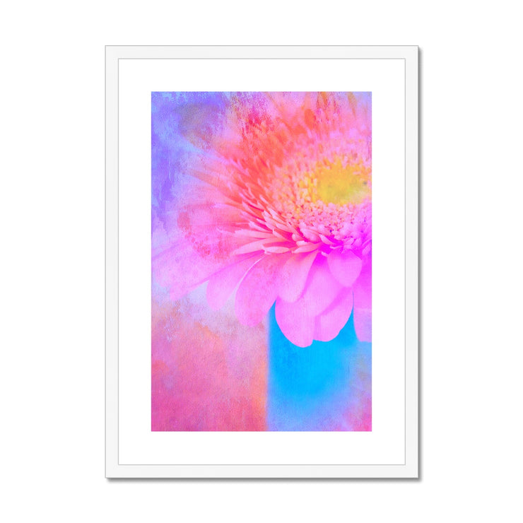 Gerbera B1 Framed & Mounted Print