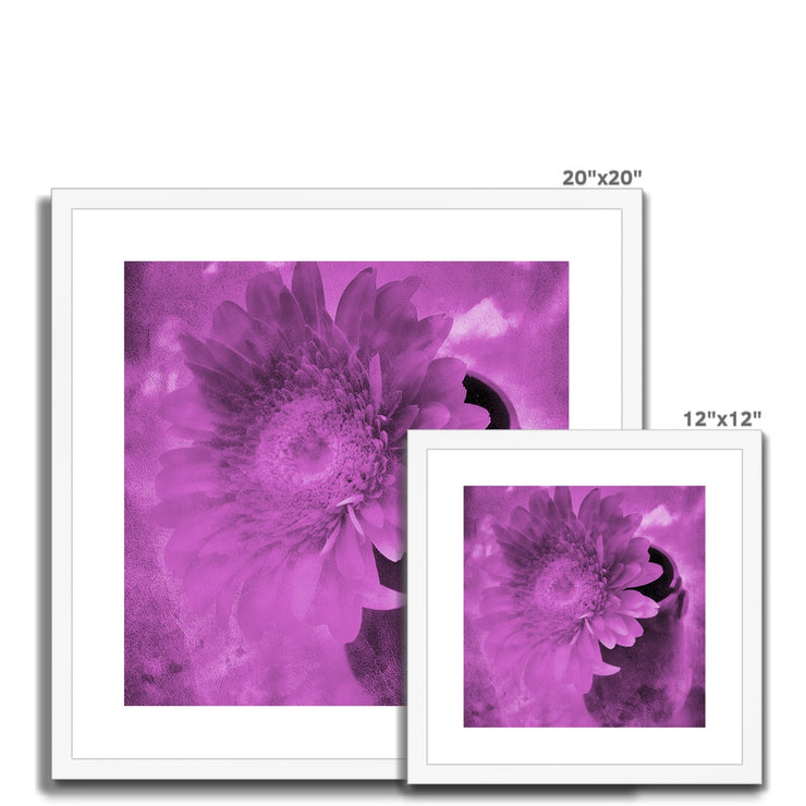 Gerbera A4 Framed & Mounted Print