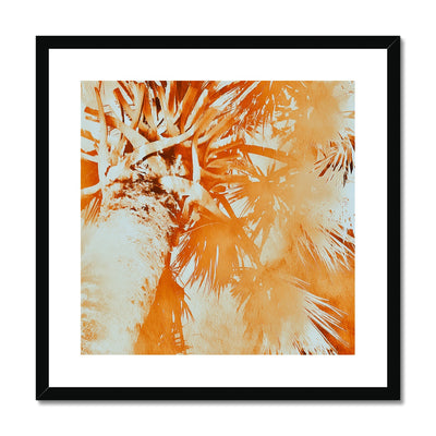 Palm Tree B1 Framed & Mounted Print