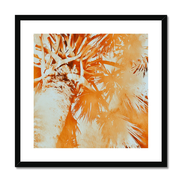 Palm Tree B1 Framed & Mounted Print