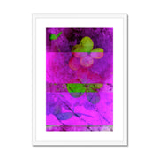 Hydrangea D1 Framed & Mounted Print