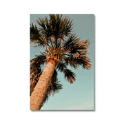 Palm Tree E1 Canvas