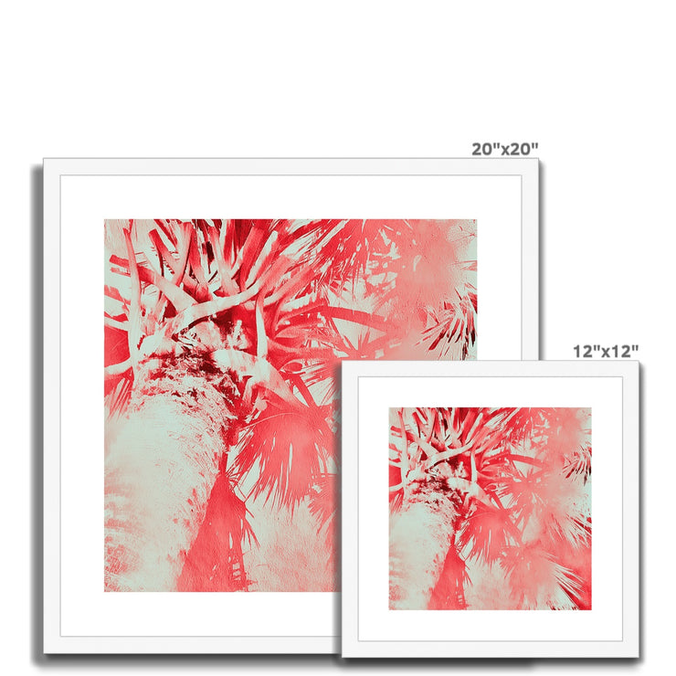 Palm Tree B6 Framed & Mounted Print