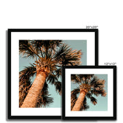 Palm Tree E1 Framed & Mounted Print