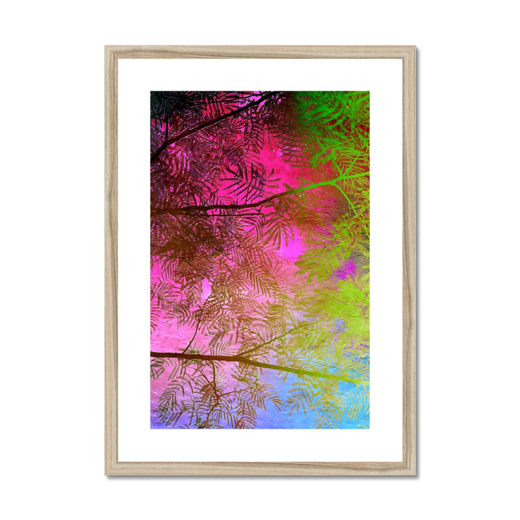 Albizia Tree A10 Framed & Mounted Print