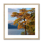 Loch Lomond B1 Framed & Mounted Print